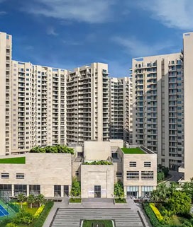 WhatsApp Image 2025-05-08 at 5.14.36 PM