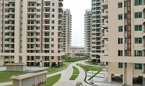 WhatsApp Image 2025-05-08 at 5.14.37 PM (1)