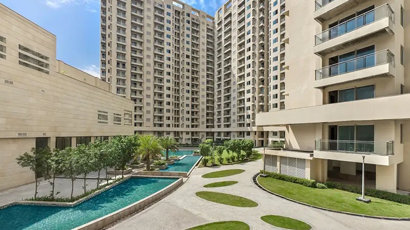 WhatsApp Image 2025-05-08 at 5.14.38 PM (2)