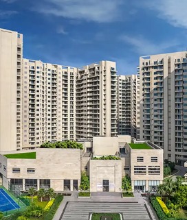 WhatsApp Image 2025-05-08 at 5.14.38 PM